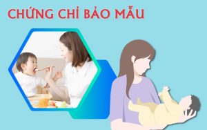 Chứng chỉ Bảo mẫu