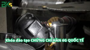 Đào tạo chứng chỉ Hàn 6G quốc tế