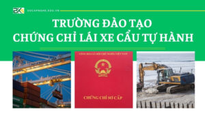 Trường đào tạo chứng chỉ Lái xe Cẩu tự hành