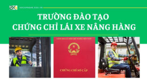 Trường đào tạo Chứng chỉ lái xe Nâng hàng