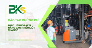 Mức lương lái xe nâng bao nhiêu một tháng?