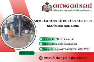 Việc làm Bằng Lái Xe Nâng dành cho người mới học xong