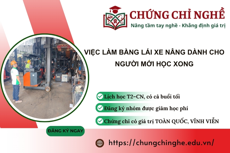 Việc làm Bằng Lái Xe Nâng dành cho người mới học xong
