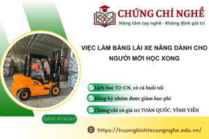 Việc làm Bằng Lái Xe Nâng dành cho người mới học xong