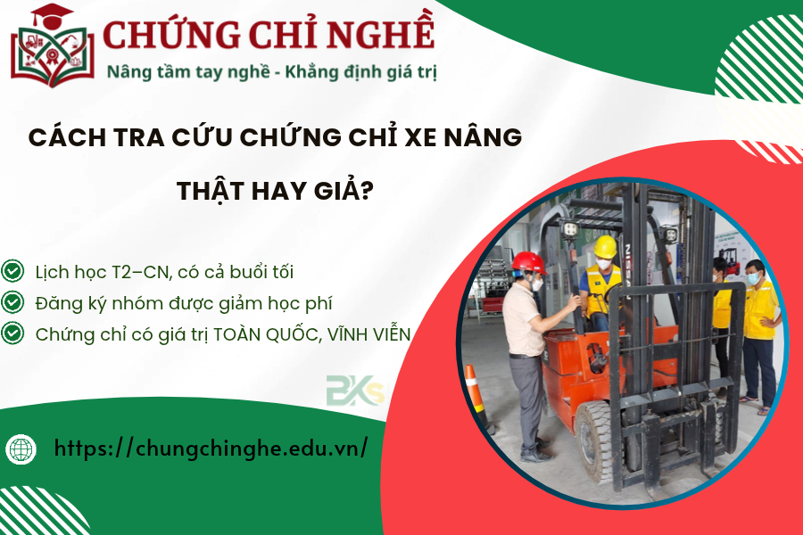 Cách tra cứu chứng chỉ xe nâng thật hay giả?
