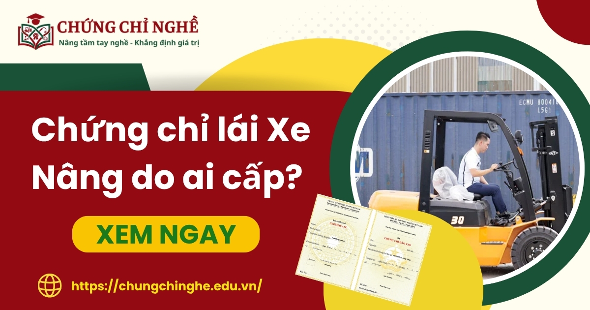 Chứng chỉ lái Xe Nâng do ai cấp? Trường nào cấp chứng chỉ chuẩn Bộ?