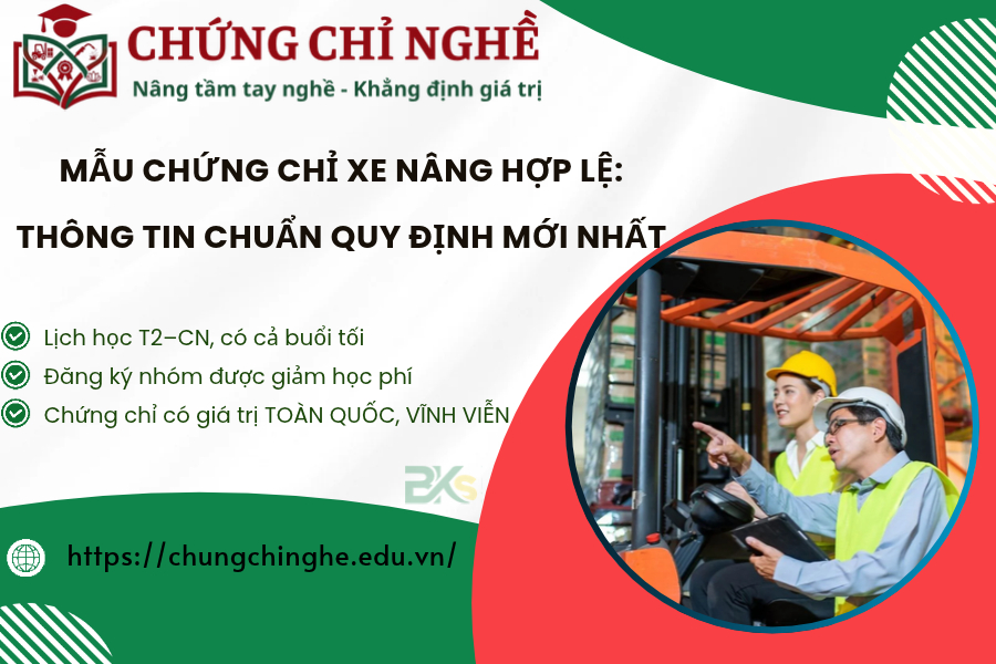 Mẫu Chứng chỉ Xe nâng hợp lệ: Thông tin chuẩn quy định mới nhất