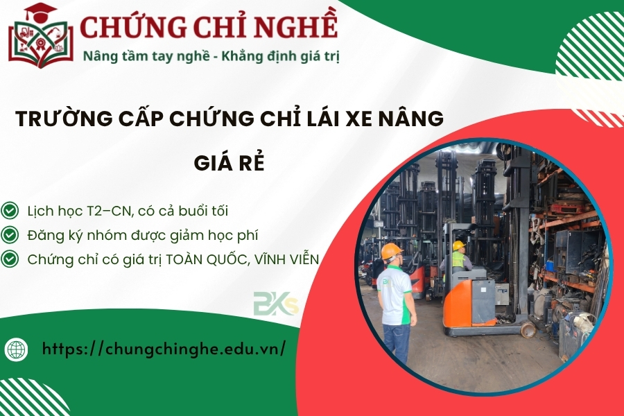 Trường cấp Chứng chỉ Lái Xe nâng giá rẻ